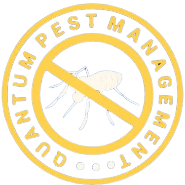 Pest management services in Los Angeles